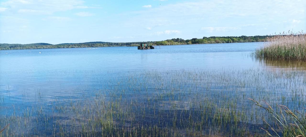Les Terrasses Du Lac Piscine Et Vue Lac A4 Aureilhan  Bagian luar foto