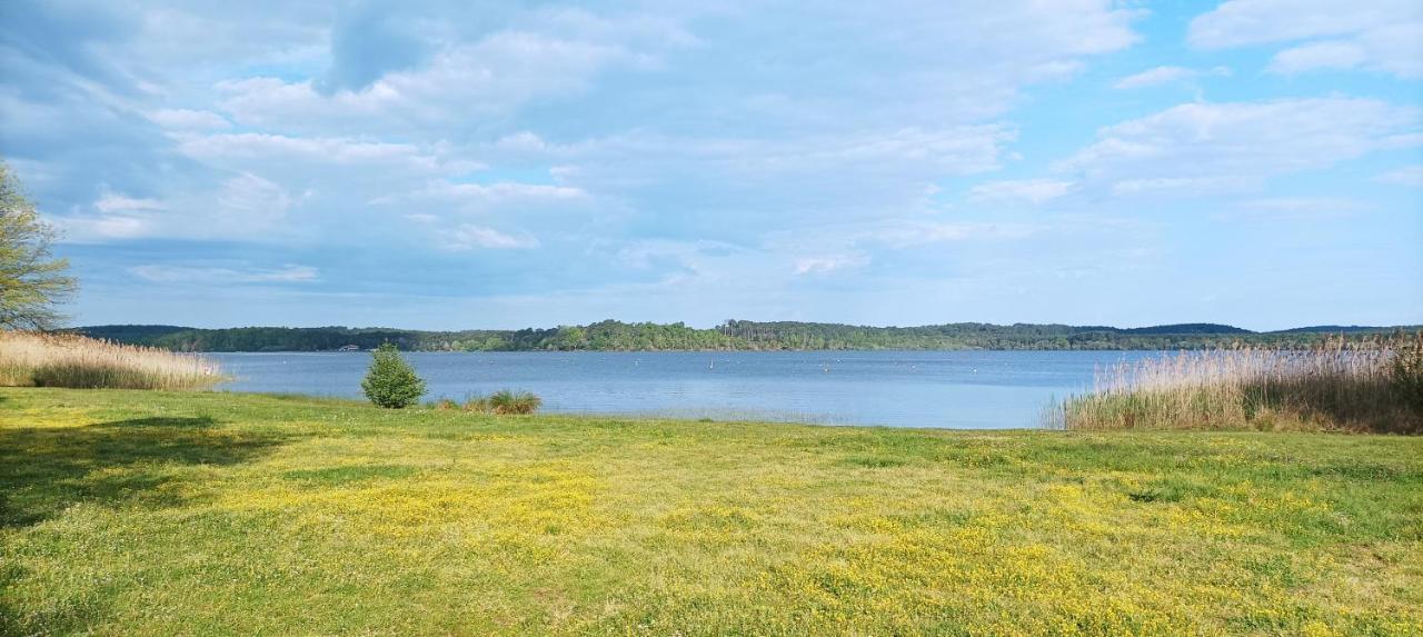 Les Terrasses Du Lac Piscine Et Vue Lac A4 Aureilhan  Bagian luar foto