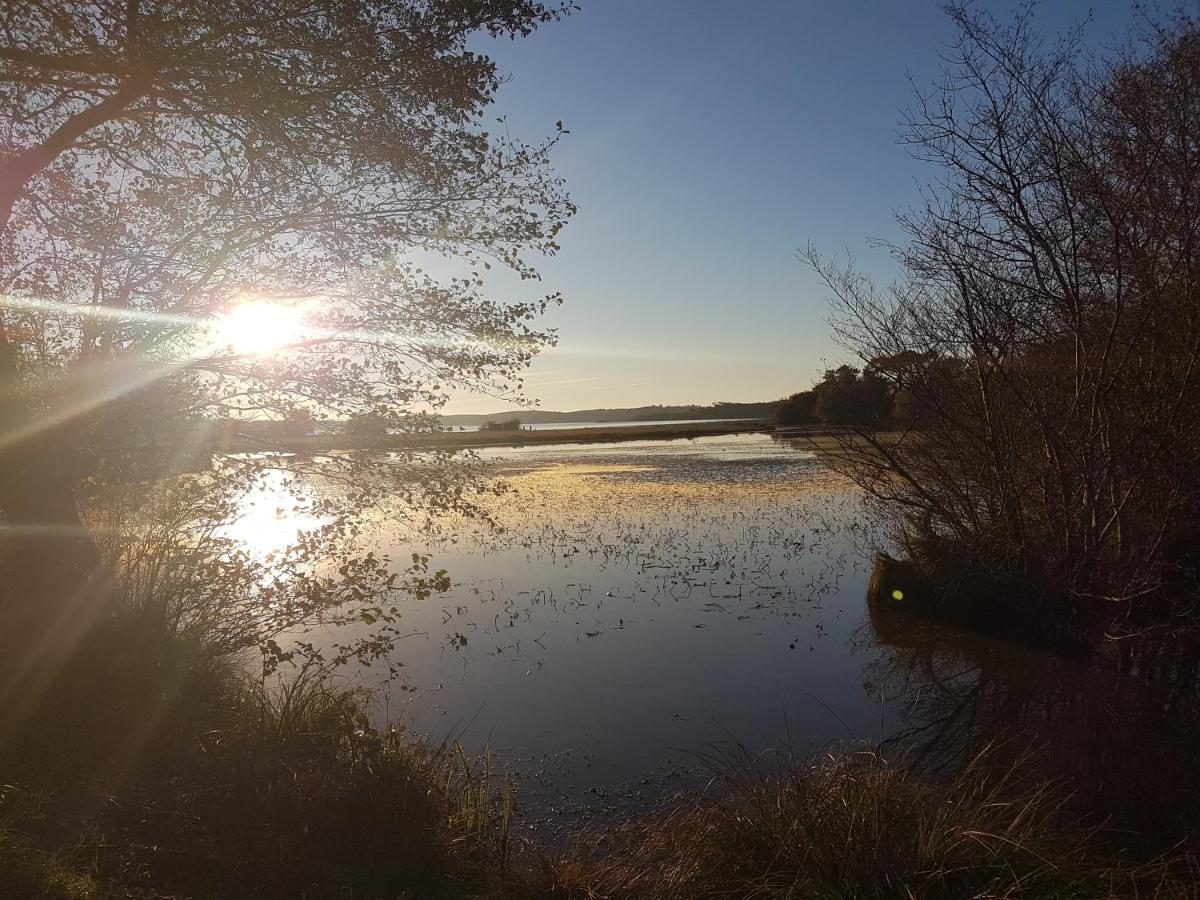 Les Terrasses Du Lac Piscine Et Vue Lac A4 Aureilhan  Bagian luar foto